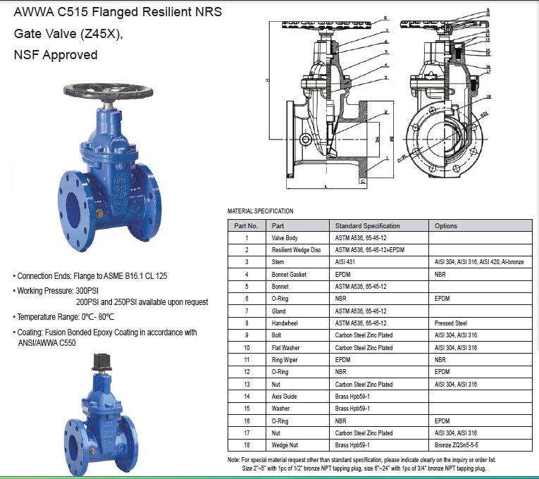 NRS Gate Valve