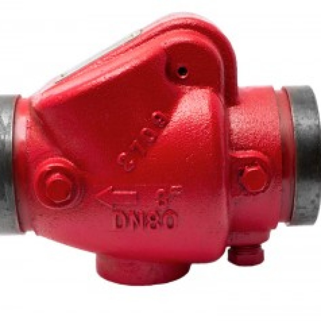 Grooved Check Valve